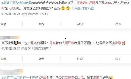 娱乐圈爆料客公众号,揭秘明星背后的秘密与真相